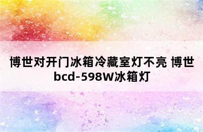 博世对开门冰箱冷藏室灯不亮 博世bcd-598W冰箱灯